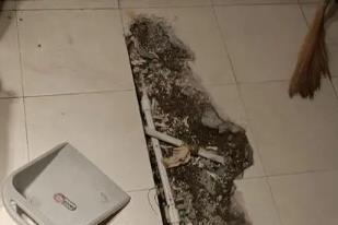 高阳卫生间漏水检测电话